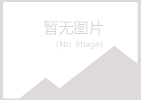 山阳区沛珊工程有限公司